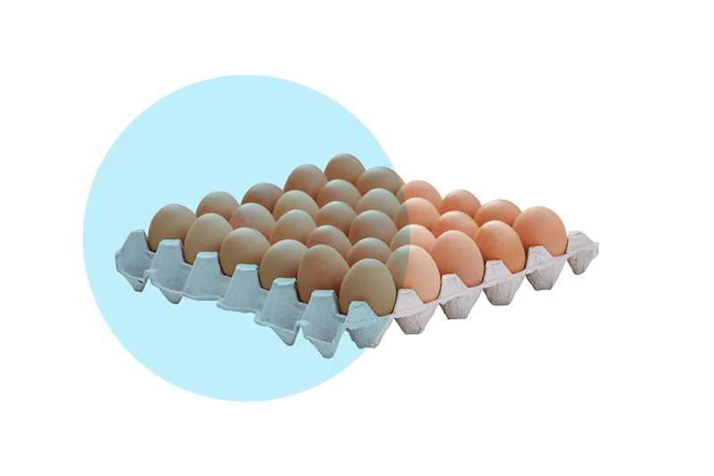 eggs