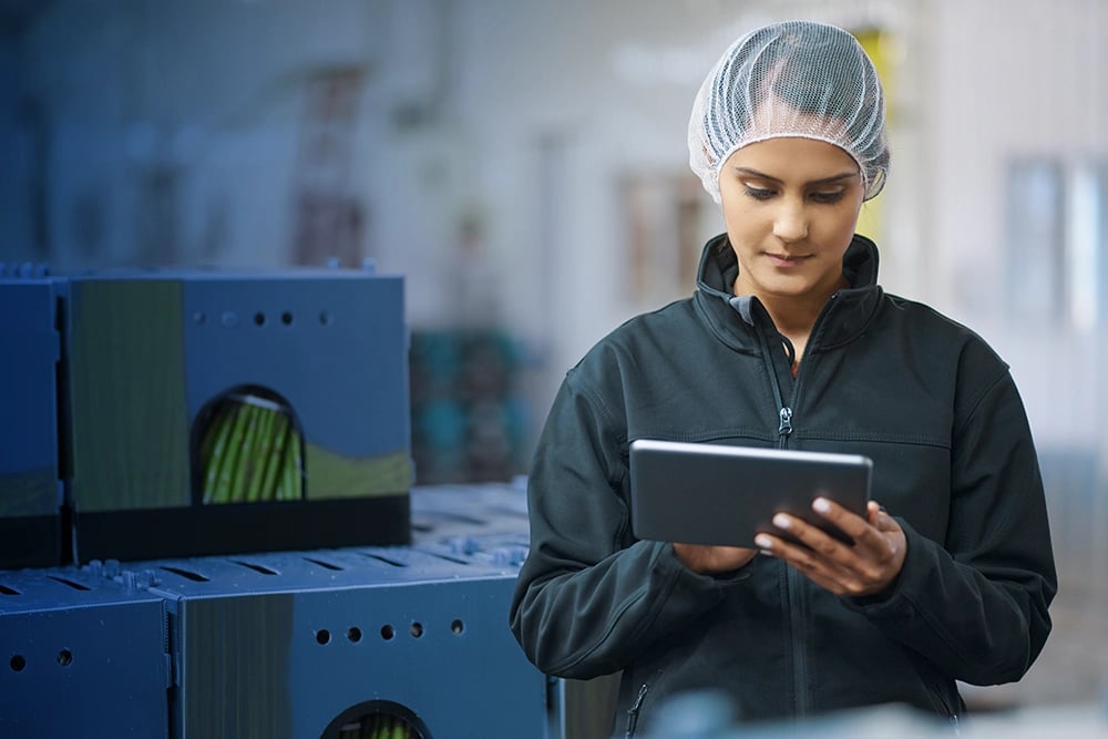 Food and beverage industry worker on tablet